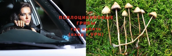 а пвп мука Абаза
