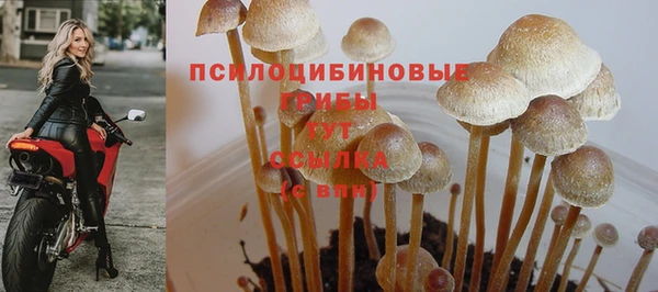 бошки Алексин