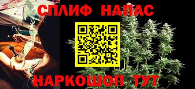 стаф Бийск