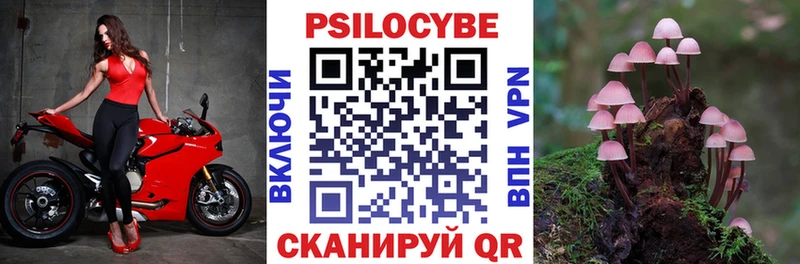 наркотики  Касимов  Галлюциногенные грибы мицелий 